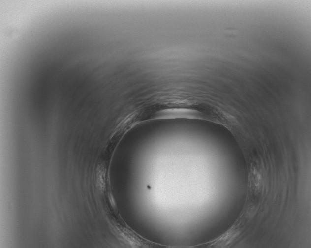 X0000059810188200510281715