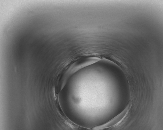 X0000059810192200510281715