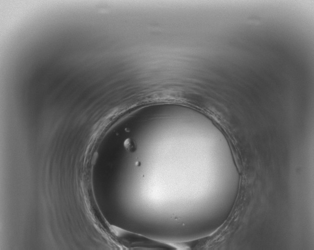 X0000059810193200510281714