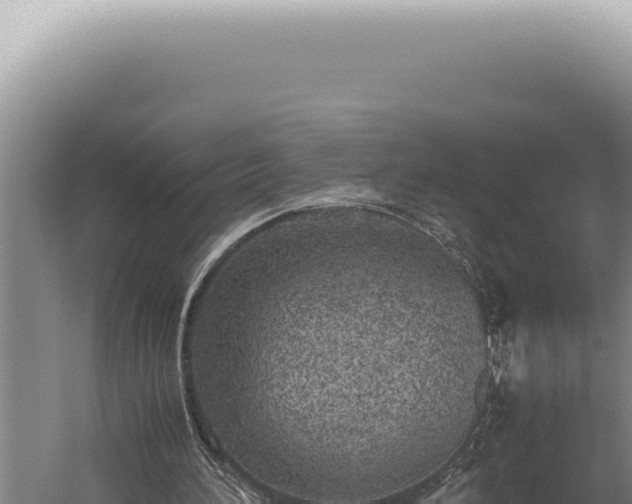 X0000059810196200510281714