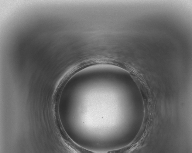 X0000059810197200510281714