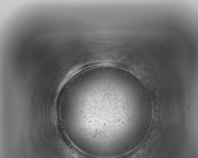 X0000059810198200510281714