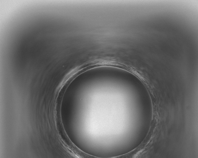 X0000059810199200510281714