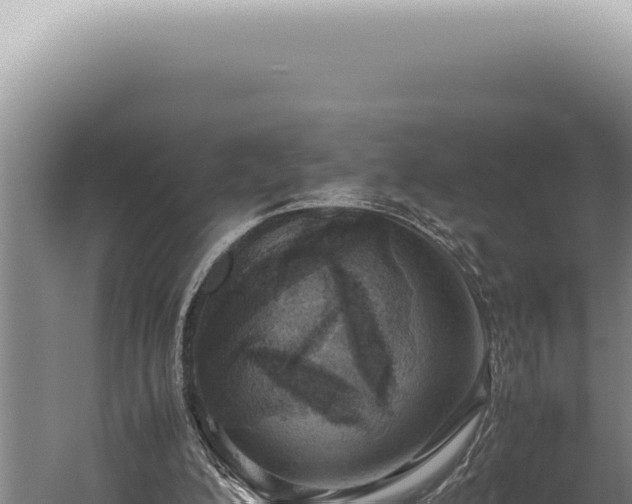 X0000059810200200510281714