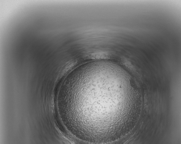 X0000059810202200510281714