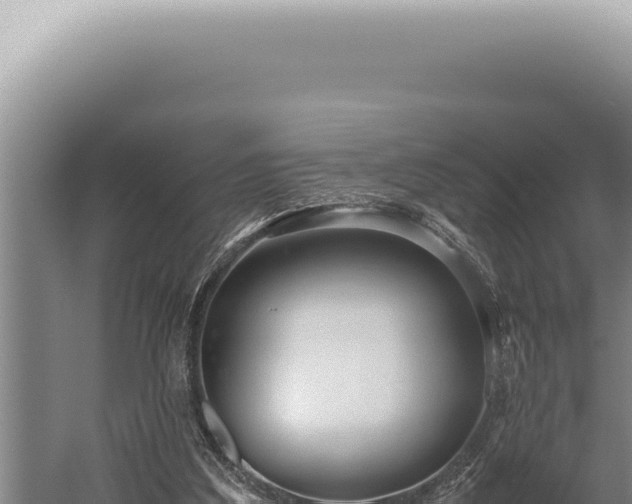 X0000059810203200510281714