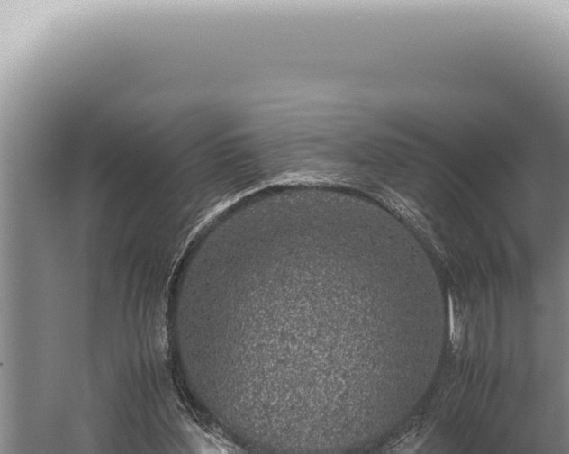 X0000059810204200510281714