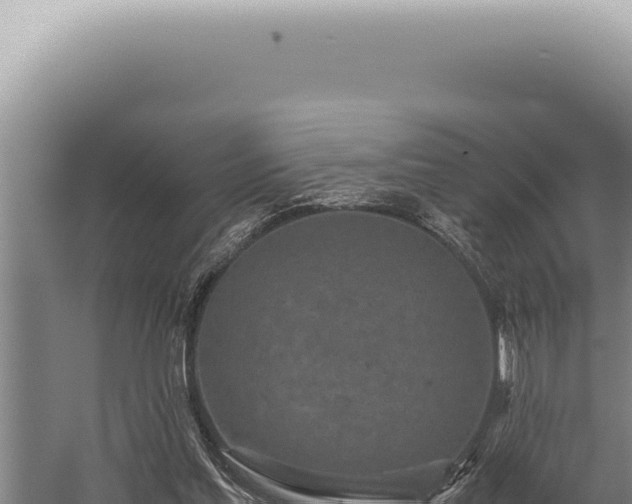 X0000059810205200510281714