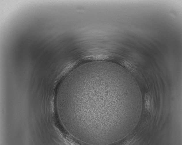 X0000059810206200510281714