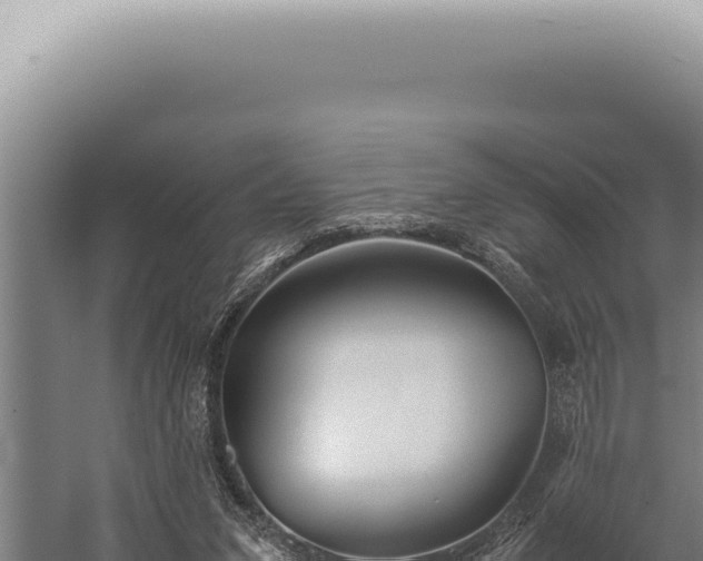 X0000059810207200510281714