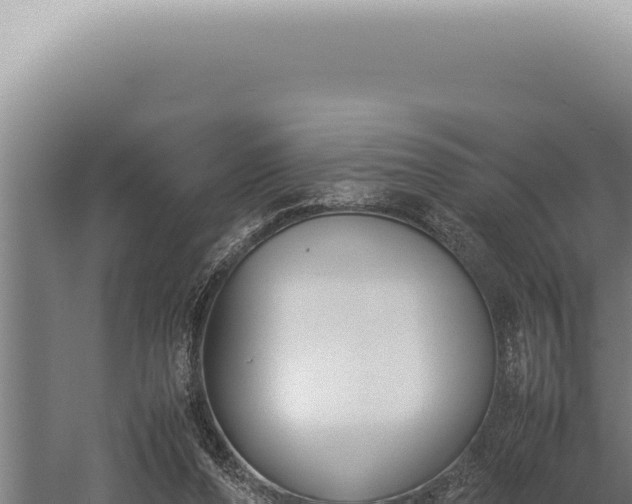 X0000059810208200510281714