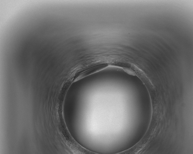 X0000059810209200510281714