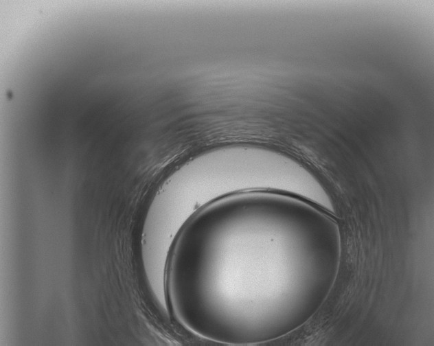 X0000059810211200510281714