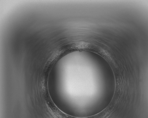 X0000059810212200510281714