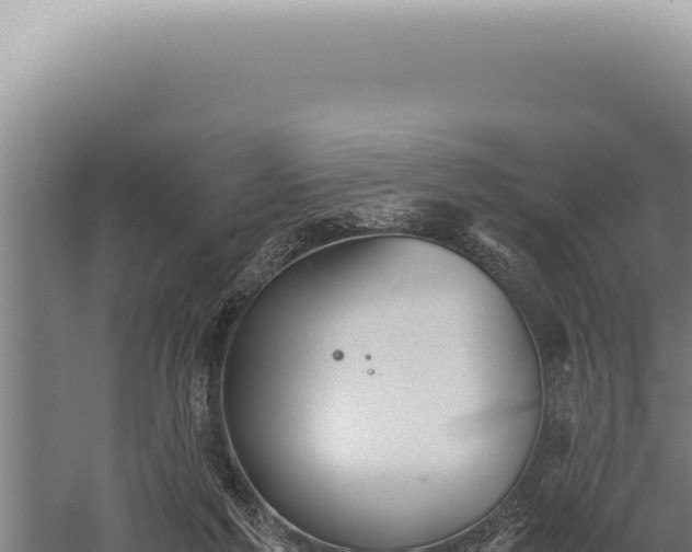 X0000059810213200510281714