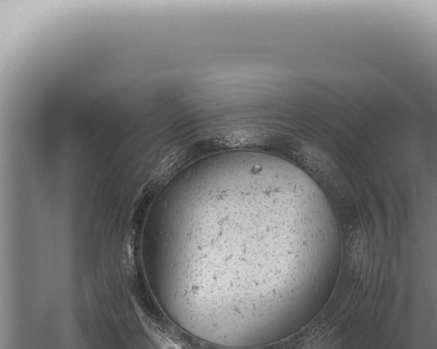 X0000059810214200510281714