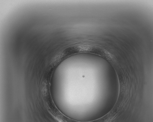 X0000059810215200510281714