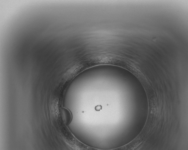 X0000059810216200510281714