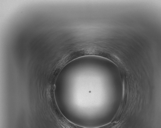 X0000059810217200510281714