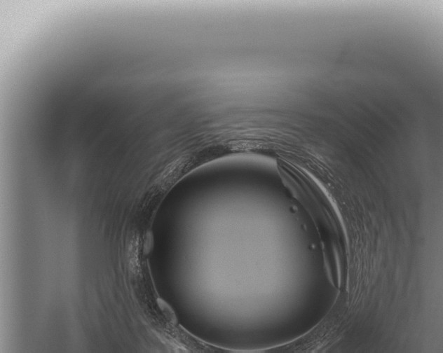 X0000059810219200510281714