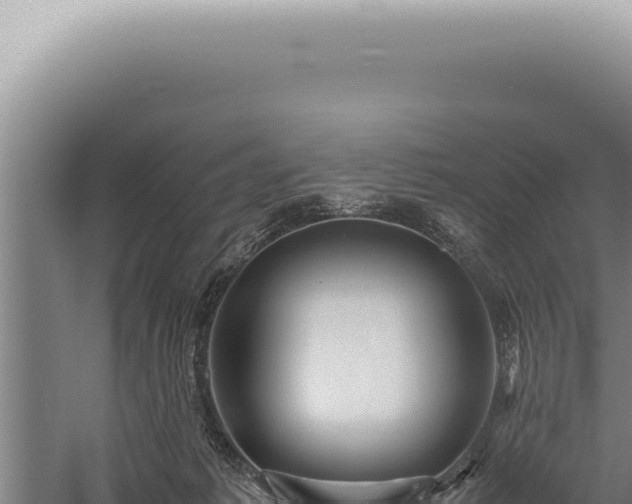 X0000059810221200510281714