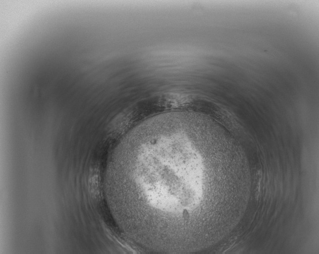 X0000059810222200510281714