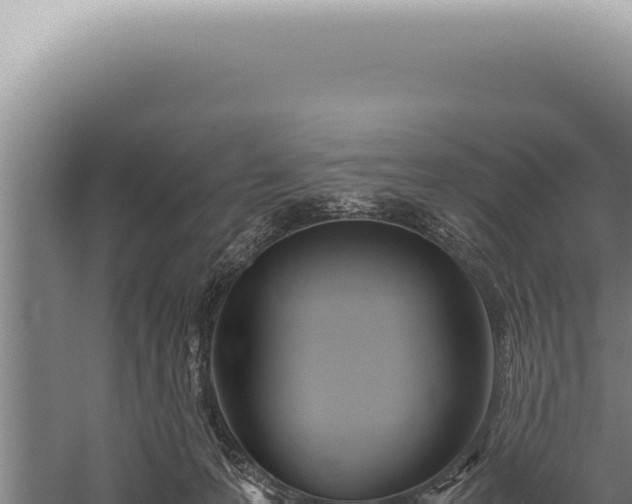 X0000059810223200510281714