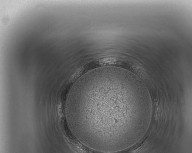 X0000059810224200510281714