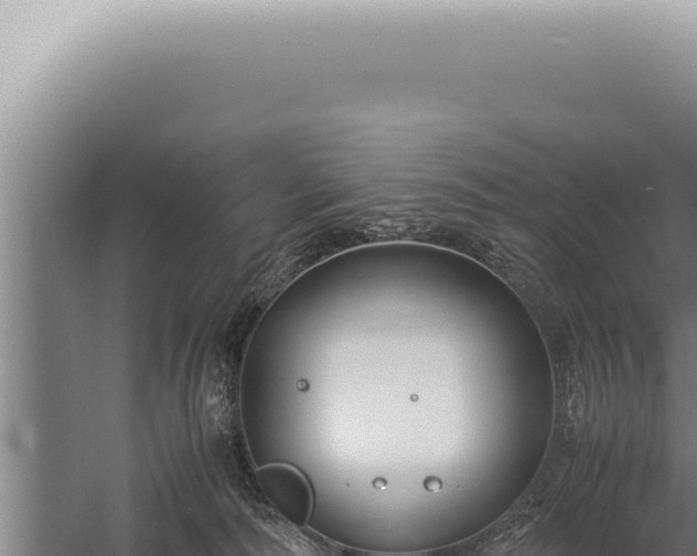 X0000059810226200510281714