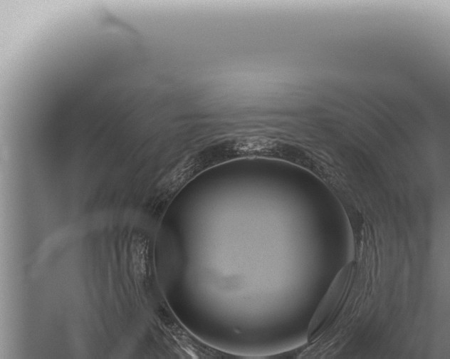 X0000059810227200510281714