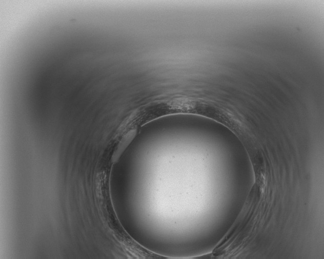 X0000059810229200510281714