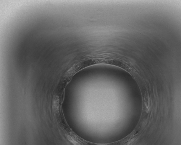 X0000059810231200510281713