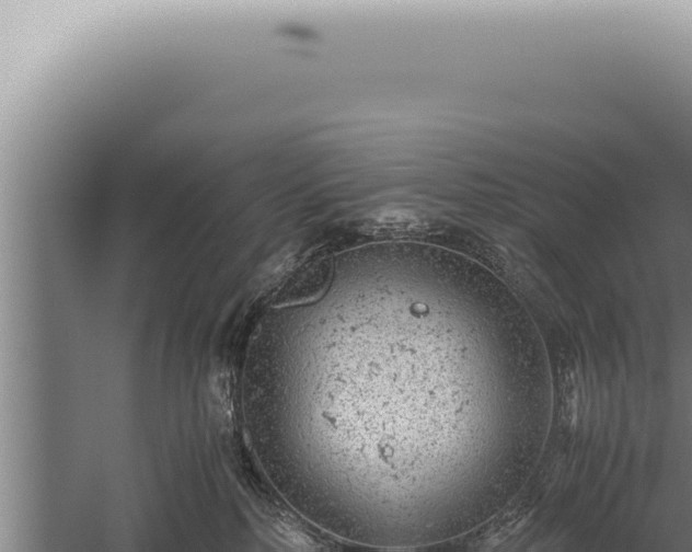 X0000059810232200510281713