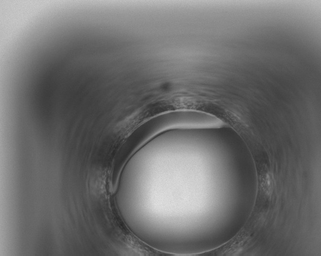 X0000059810233200510281713