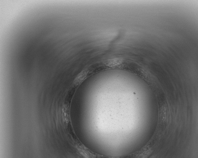 X0000059810234200510281713