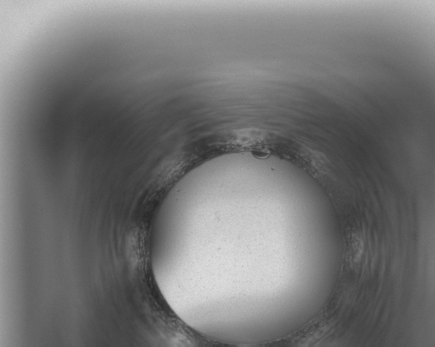 X0000059810236200510281713