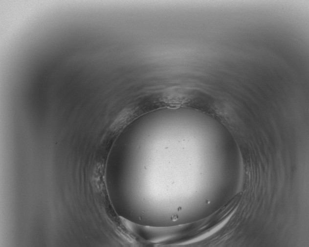 X0000059810237200510281713