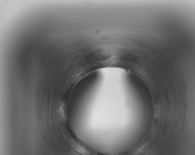 X0000059810238200510281713