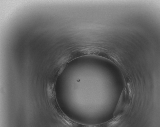 X0000059810239200510281713