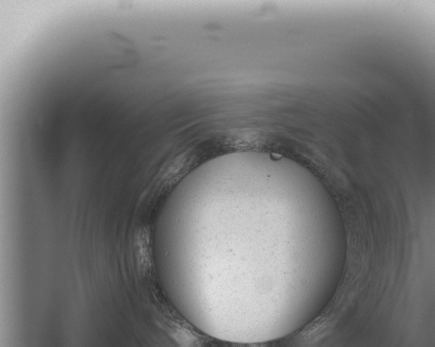 X0000059810240200510281713