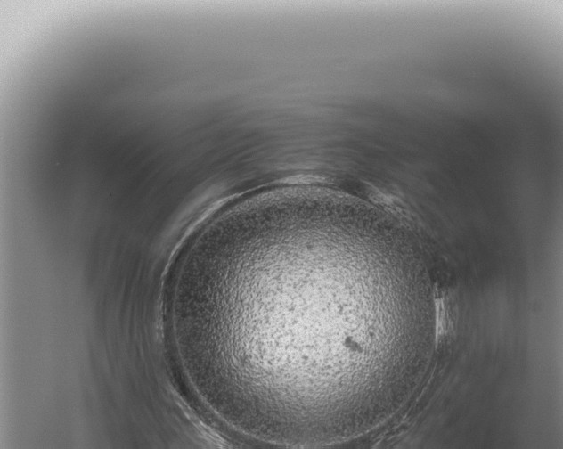 X0000059810243200510281713