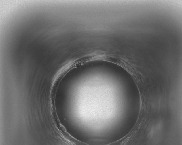 X0000059810245200510281713