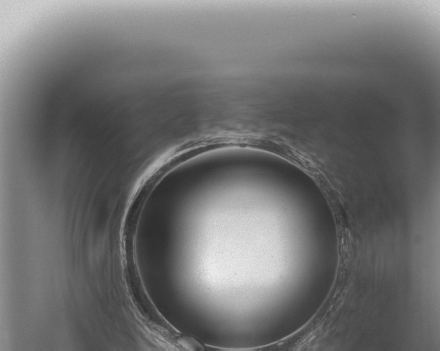 X0000059810246200510281713