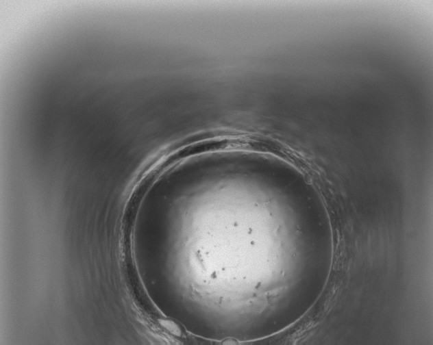 X0000059810247200510281713