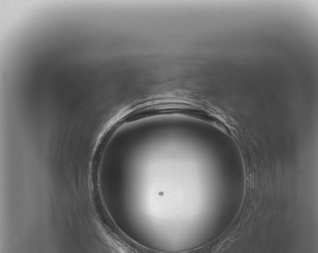 X0000059810248200510281713