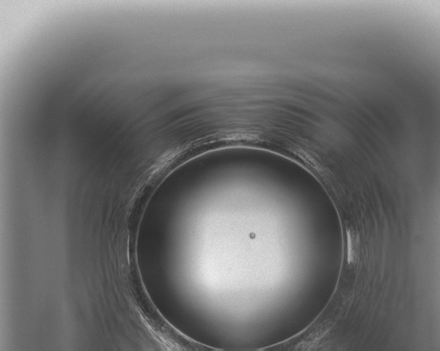 X0000059810253200510281713