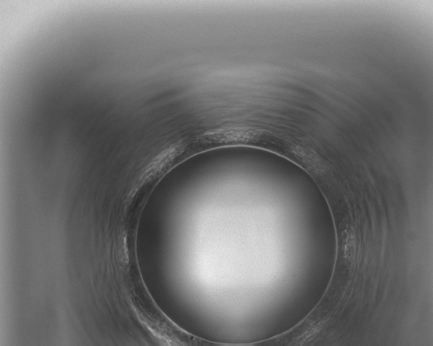 X0000059810254200510281713