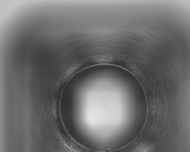 X0000059810255200510281713