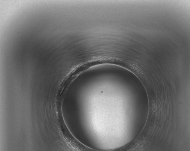 X0000059810256200510281713