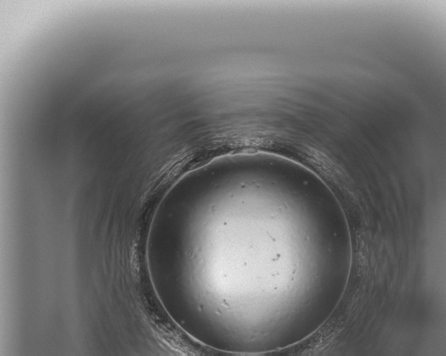 X0000059810258200510281713